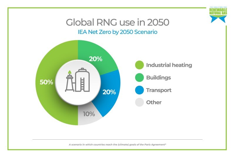 An infographic showing the projected global renewable natural gas (RNG) use by 2050.