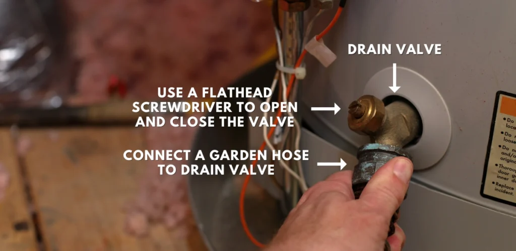 An image showing how to connect a garden hose to the drain valve on the bottom of a water heater to start draining it.